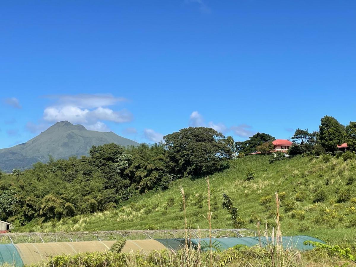 Chambre Et Sdb Privative Ylang Ylang Vue Mont Pelee Dans Maison Partagee Le Morne-Rouge Eksteriør bilde