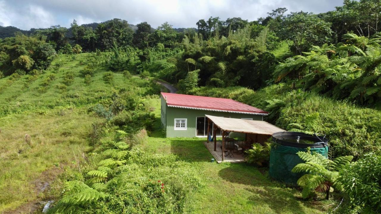 Chambre Et Sdb Privative Ylang Ylang Vue Mont Pelee Dans Maison Partagee Le Morne-Rouge Eksteriør bilde